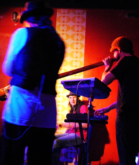 AnalogueBirds 0411 (49)